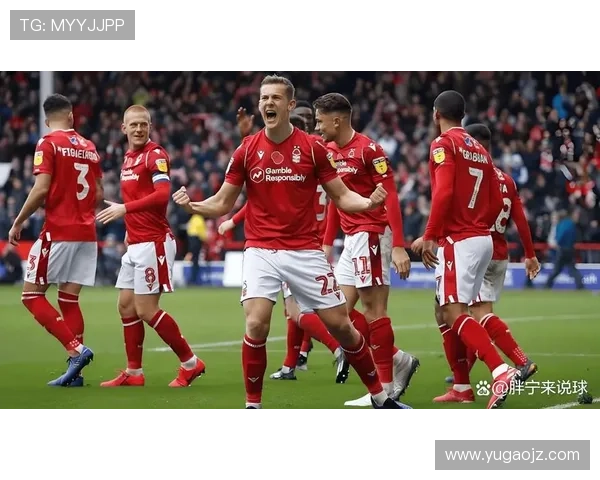 布伦特福德新赛季阵容深度分析,青训球员发展趋势引发关注