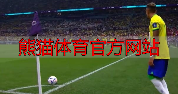 熊猫体育官方网站
