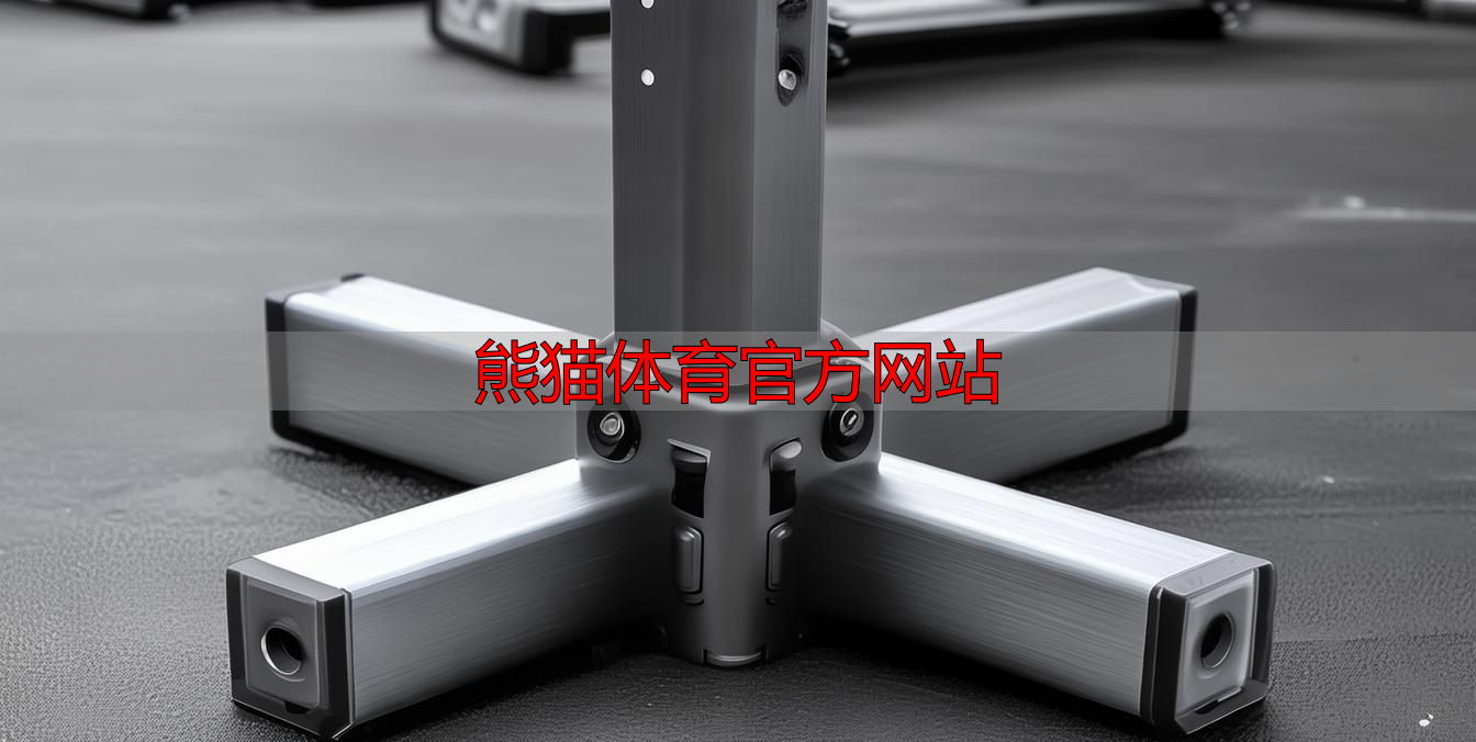 熊猫体育官方网站