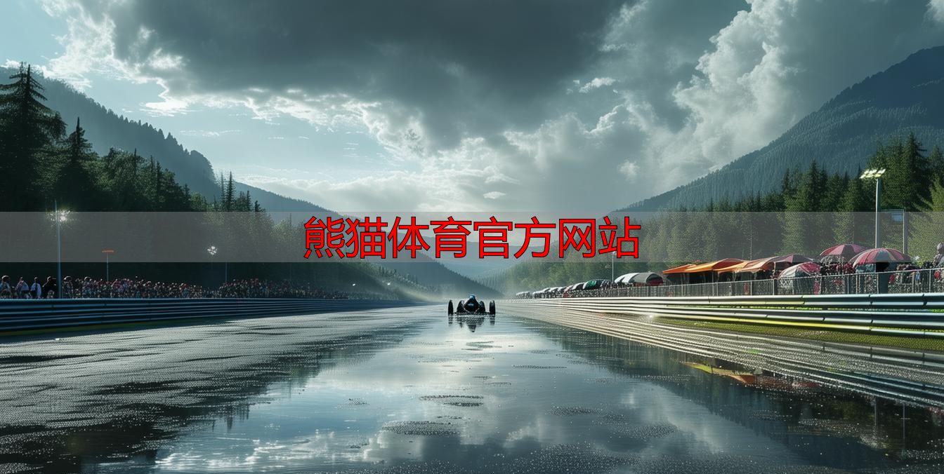 熊猫体育官方网站