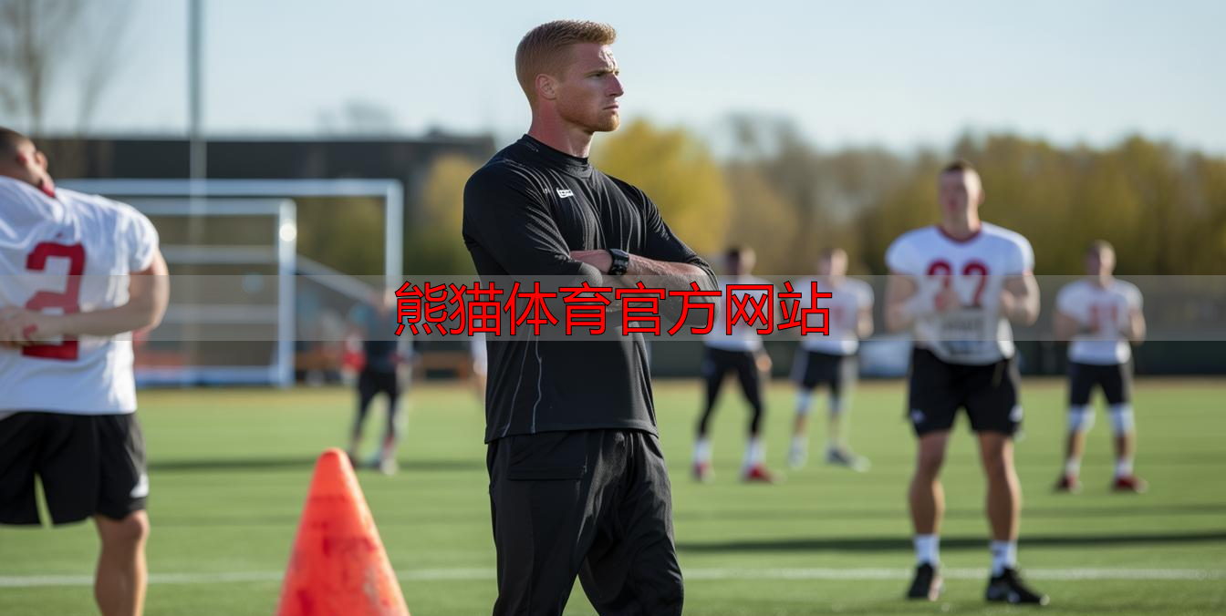 熊猫体育官方网站