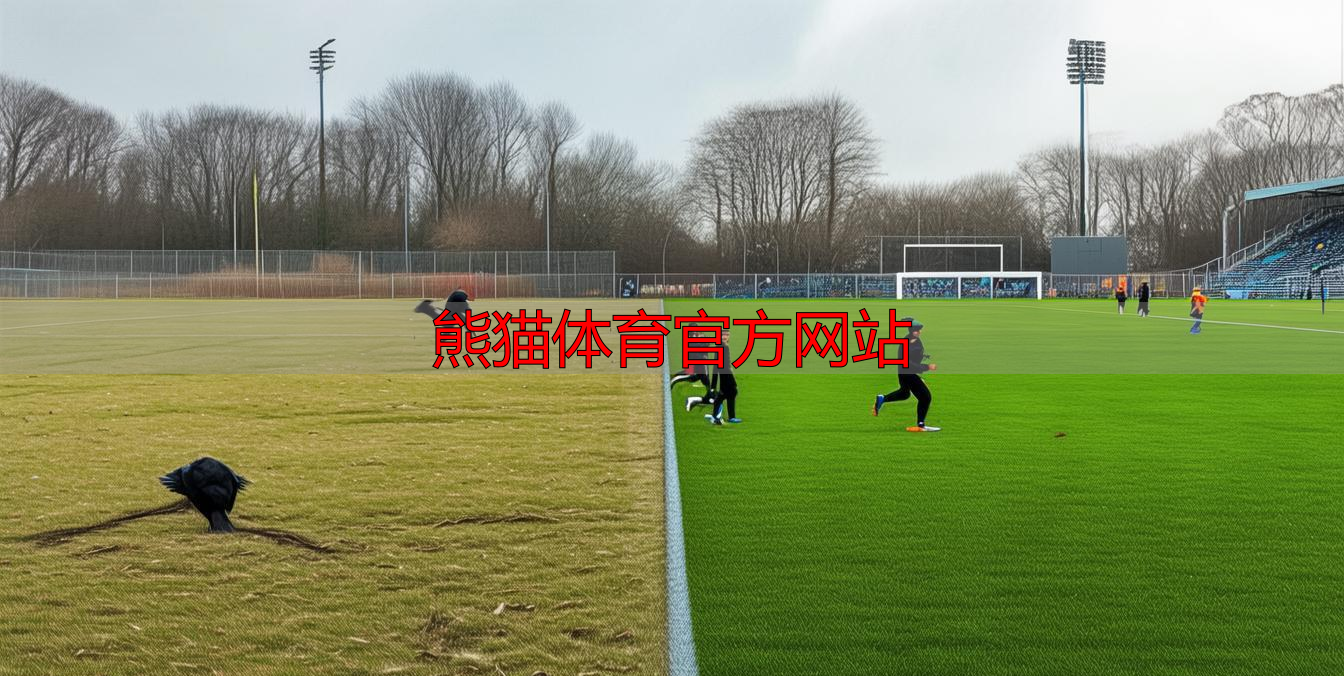 熊猫体育官方网站