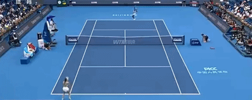 熊猫体育官方网站