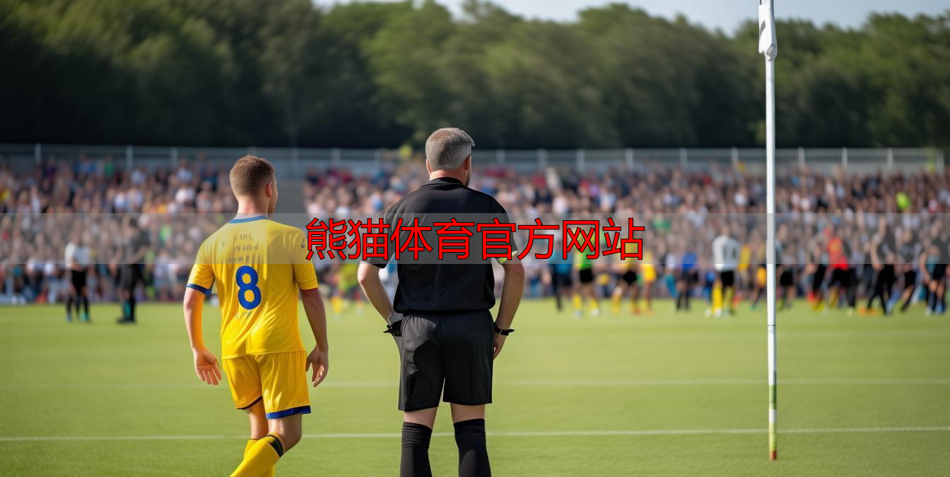 熊猫体育官方网站